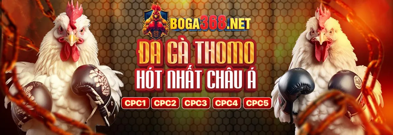 Chiến lược cá cược đá gà hiệu quả tại 118 Bet